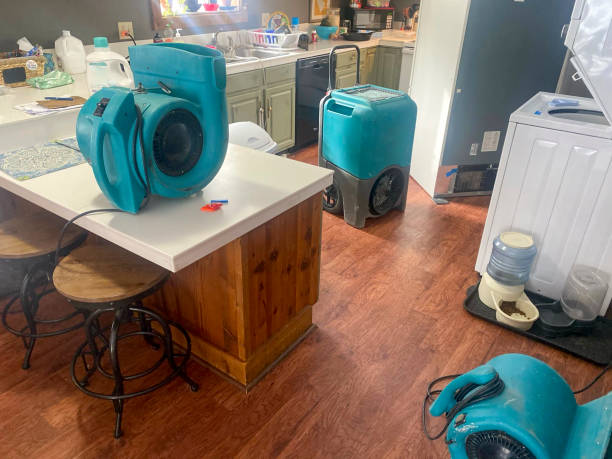 Best Residential water damage restoration  in El Paso, IL