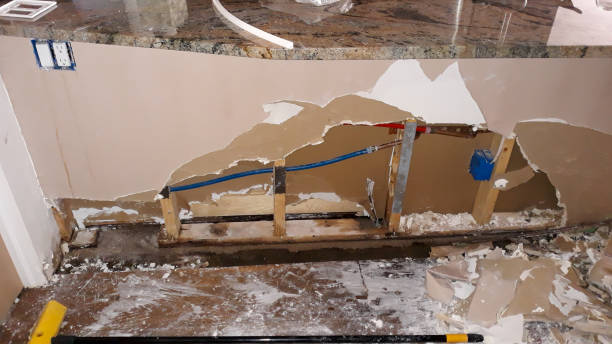  El Paso, IL Water damage restoration Pros