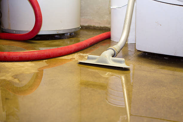  El Paso, IL Water damage restoration Pros