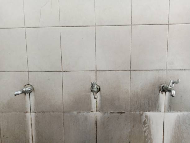 Best Flooded house restoration  in El Paso, IL