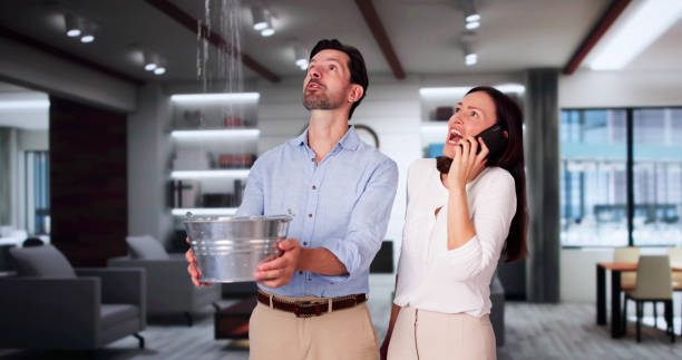 Best Flooded house restoration  in El Paso, IL